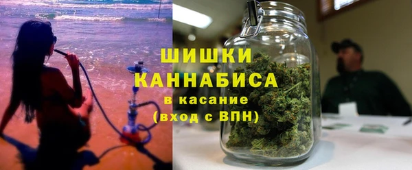 индика Верхний Тагил