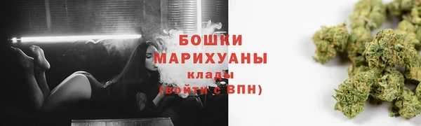 дурь Бронницы