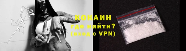 дурь Бронницы