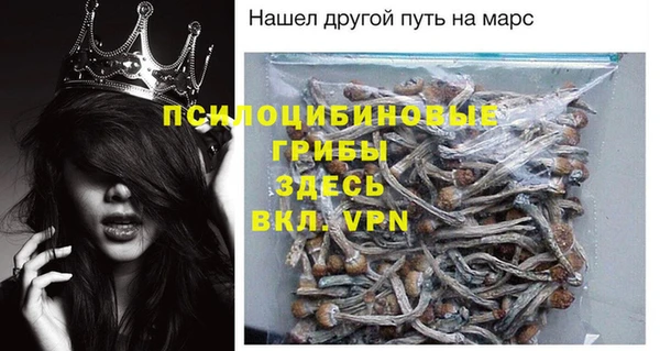 дурь Бронницы