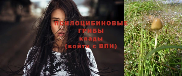 COCAINE Бородино