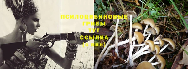 COCAINE Бородино