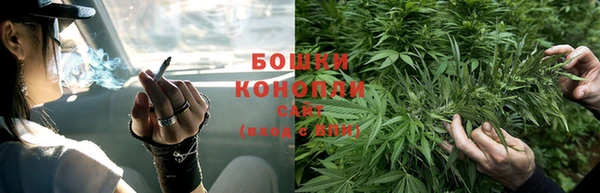 дурь Бронницы